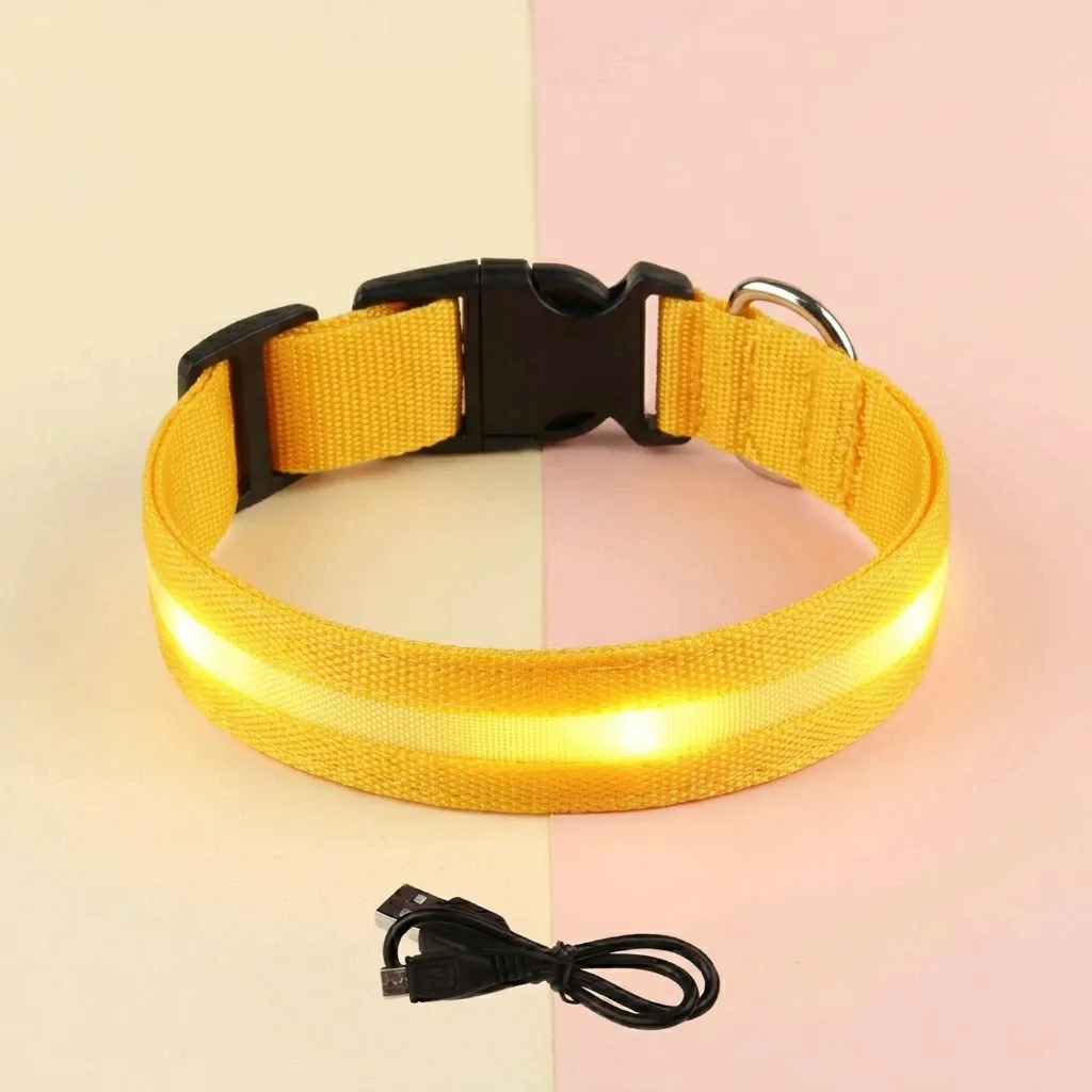 Collares LED Brilla Para Perros Seguridad Y Visibilidad Recargable