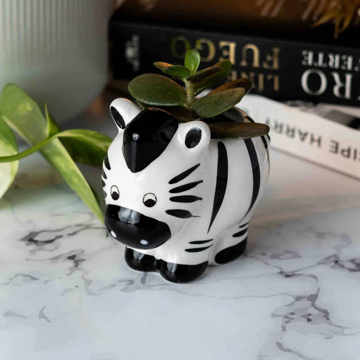 Maceta De Cerámica Con Forma de Animales Mini
