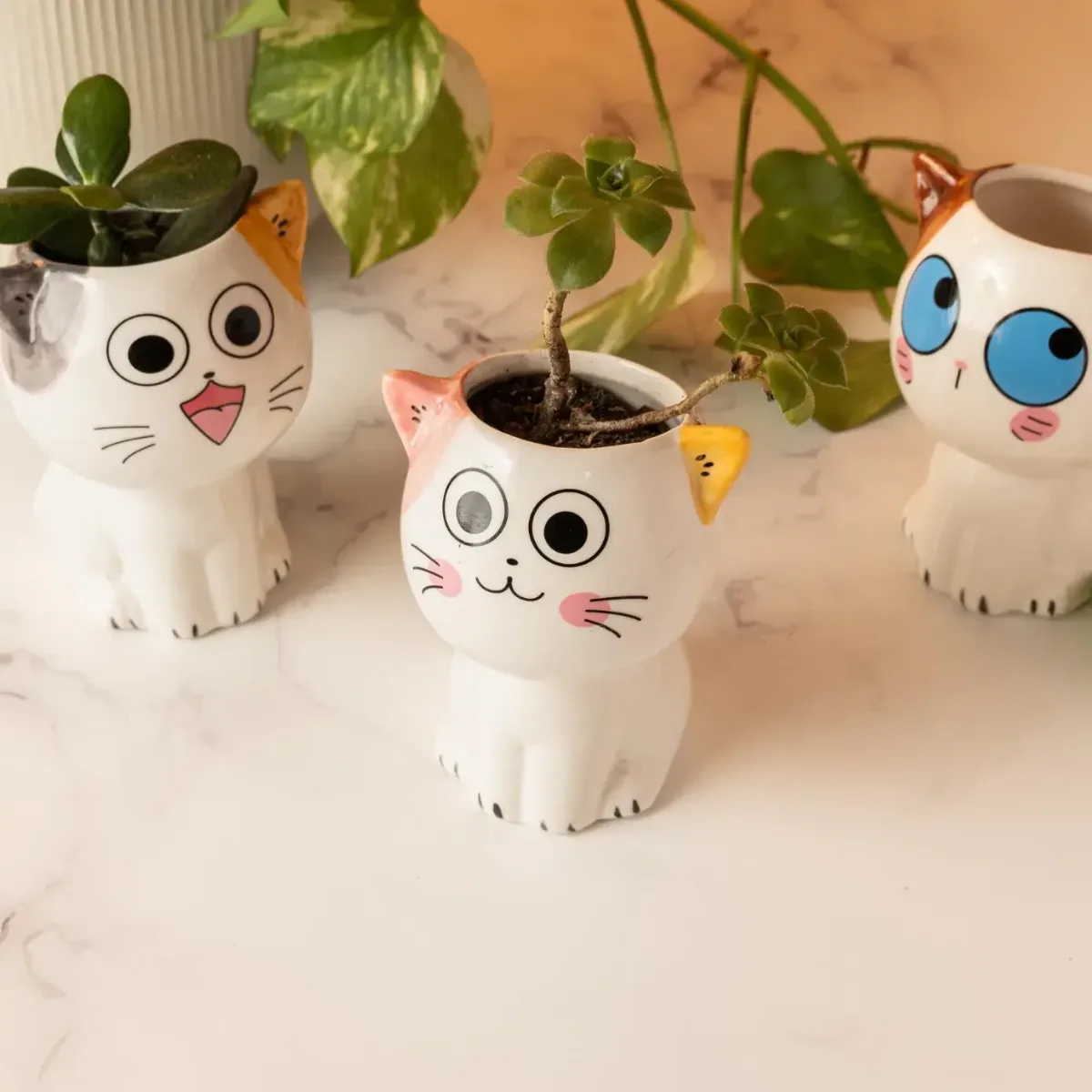 Maceta Mini Cerámica Gatitos Gato Expresivos - Ojos abiertos Boca Cerrada