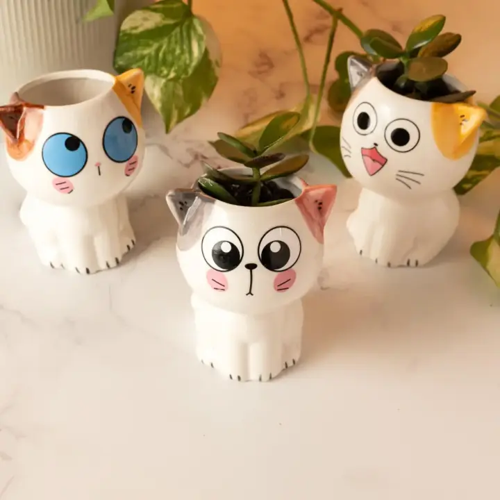 Maceta Mini Cerámica Gatitos Gato Expresivos